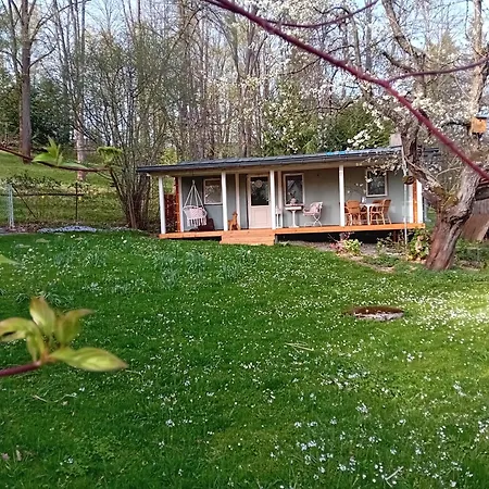 Magnolie * Lipová-lázně