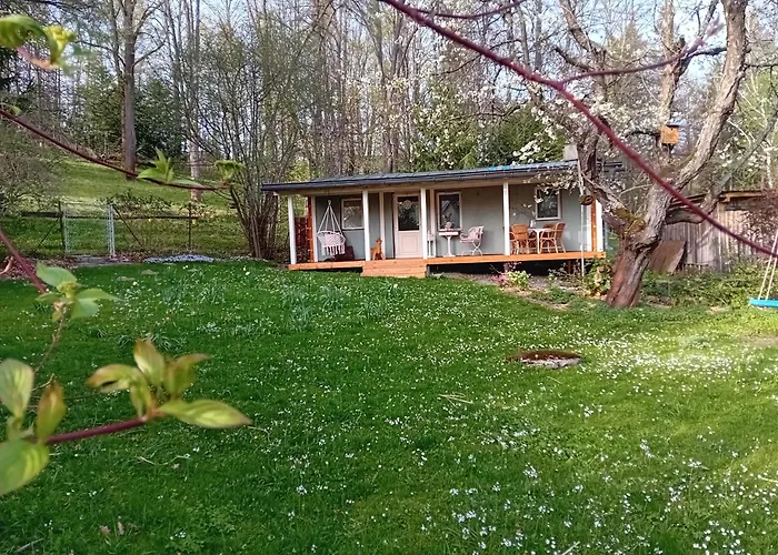 Magnolie * ليبوفا لازن